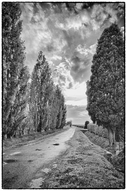 Monochrome Landscapes