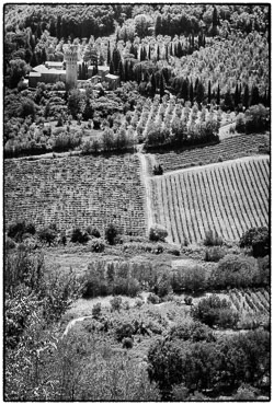 Monochrome Landscapes